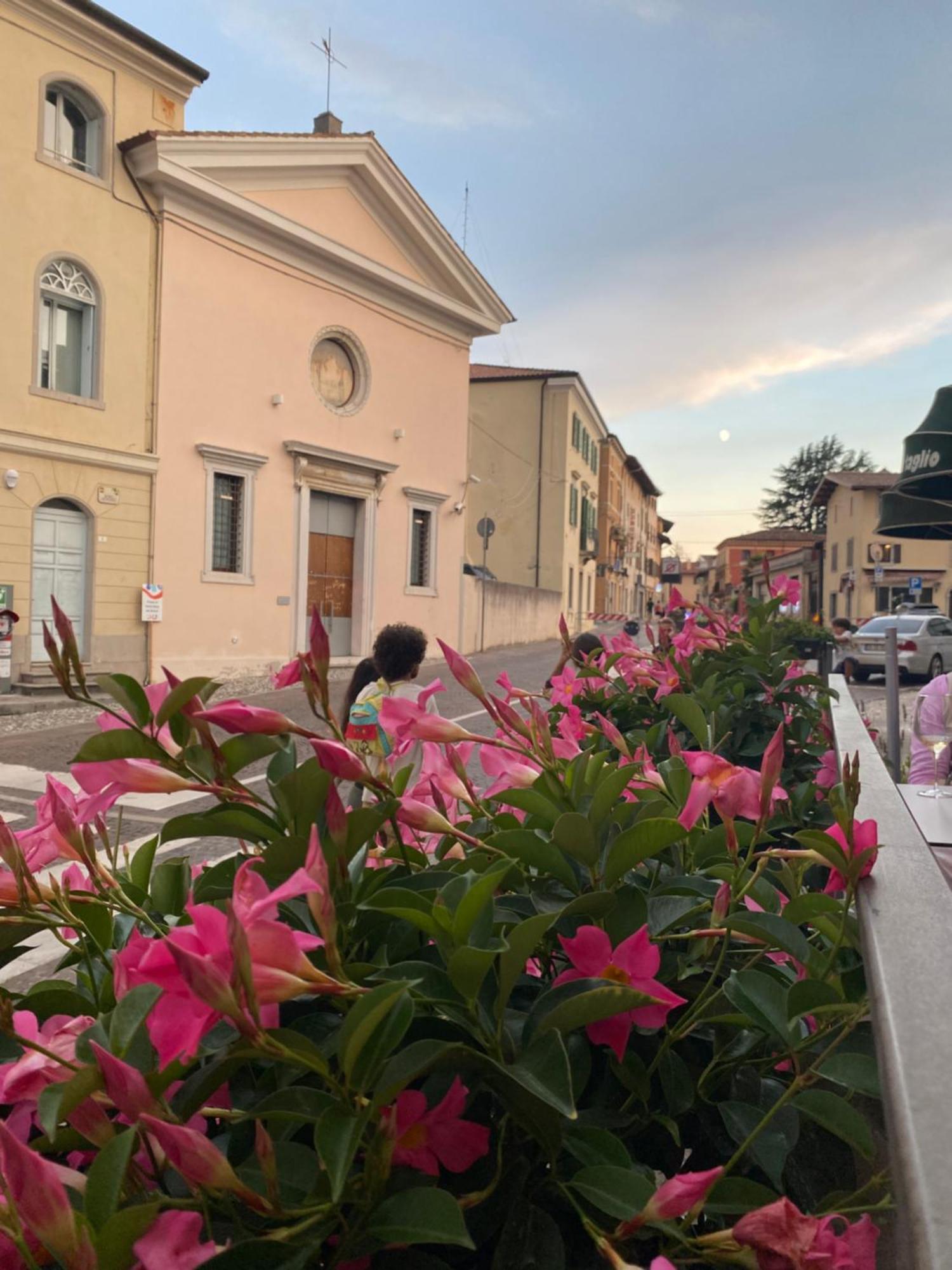 Il Riccio E Il Gufo Hotel Cepletischis Ngoại thất bức ảnh